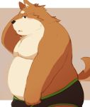  2018 96k-k barazoku blush briefs bulge canine clothing fox kemono male mammal obese overweight simple_background solo standing underwear 