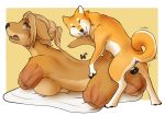  2018 amputee anthro anthro_on_feral balls bestiality breasts canine crying dog female feral feral_penetrating_anthro forced fur hair hecking male male/female mammal open_mouth penetration penis rape sex shiba_inu tears 