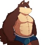  2016 96k-k barazoku briefs canine clothing dog kemono male mammal muscular simple_background solo standing underwear white_background 