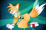  sonic_team tagme tails 