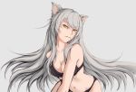  animal_ears black_bra black_hanekawa black_panties bra breasts cat_ears cleavage commentary hanekawa_tsubasa highres large_breasts long_hair monogatari_(series) navel panties shibanme_tekikumo silver_hair slit_pupils solo stomach underwear underwear_only very_long_hair yellow_eyes 