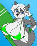  2017 5_fingers anthro big_breasts bikini blue_eyes blush breasts canine cleavage clothed clothing creatiffy curvaceous dog female fur gradient_background grey_fur hair huge_breasts karla mammal multicolored_fur open_mouth simple_background surfboard swimsuit thick_thighs two_tone_fur v_sign voluptuous white_fur white_hair wide_hips 