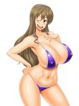  1girl bikini breasts huge_breasts kawanuma_uotsuri long_hair smile solo 