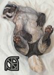  badger bed clothing cosmiclife female flat_chested hi_res hindpaw lying mammal mustelid panties pawpads paws pinup pose semi-anthro solo spread_legs spreading teeth underwear 