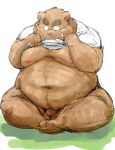 2015 barazoku bear clothed clothing facing_viewer flaccid grizzly_bear humanoid_penis kemono kotobuki male mammal muscular obese overweight partially_clothed penis shirt simple_background sitting solo undressing white_background 