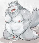  2015 anthro balls barazoku belly big_belly canine cum cum_on_chest cum_on_ground cum_on_stomach drooling erection foreskin hands_behind_back humanoid_penis kemono kneeling kotobuki male mammal moobs muscular navel nipples obese overweight overweight_male panting penis saliva solo steam sweat tongue tongue_out wolf 