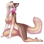  2018 5_fingers anthro areola braided_hair breasts canine digital_media_(artwork) dog ei-ka female hair heterochromia looking_at_viewer mammal nipples simple_background smile solo white_background 