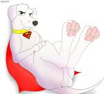  2018 animal_genitalia anus balls butt canine canine_genitalia cape cartoon_network clothing collar dc_comics feral fur hyde3291 invalid_tag krypto krypto_the_superdog labrador_retriever mammal pawpads paws penis pose simple_background smile superdog toes white_background white_fur 