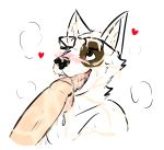  &lt;3 anthro canine cum cum_drip cum_from_nose cum_in_nose cum_on_face disembodied_penis dog dripping duo erection fellatio fur humanoid_penis male mammal ohs688 oral penis saliva sex smile solo_focus steam tongue tongue_out willy_(ohs688) 