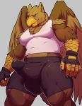  abs anthro avian beak big_muscles bulge clothed clothing erection erection_under_clothes gryphon knuxlight male mature_male muscular muscular_male pecs penis_outline solo 