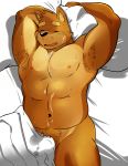  abs anthro armpit_hair bed blush canine cum cum_on_chest cum_on_face dog kenta_shiba_(character) male mammal muscular muscular_male navel nude overweight overweight_male pecs pubes shiba-kenta shiba_inu solo wet_dream 