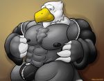  abs animal_crossing anthro apollo_(animal_crossing) avian bald_eagle beak biceps big_muscles bird bulge clothed clothing eagle freezybear92 hi_res huge_muscles looking_at_viewer male manly muscular muscular_male nintendo nipples pecs signature solo video_games 