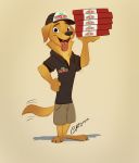  2017 3_toes absurd_res anthro baseball_cap black_nose black_shirt brown_eyes canine clothed clothing dog fangs fur gold_fur golden_retriever grainy hand_on_waist hat hi_res holding_object mammal open_mouth open_smile papa_john&#039;s_pizza pizza_box pointedfox pose shorts signature simple_background slim smile solo standing toes tongue tongue_out yellow_background 