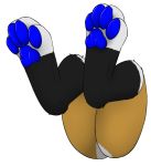  4_toes digitigrade hindpaw pawpads paws selix selixjackal stickers toes 