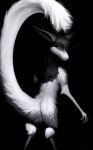  ambiguous_gender anthro black_background black_hair butt caedere fluffy fur greyscale hair hi_res looking_at_viewer looking_back mammal monochrome nude out-of-placers rear_view simple_background solo yinglet 