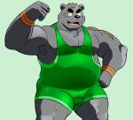  anthro bear bulge daigo_kumano green_background green_clothing male mammal shiba-kenta simple_background single solo text translation_request wrestling_singlet 
