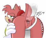  2004 amy_rose anthro anus clothing female green_eyes hedgehog is_(artist) male male/female mammal panties panties_aside penetration pussy sex simple_background sonic_(series) underwear underwear_aside vaginal vaginal_penetration white_background 