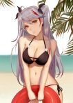  azur_lane bare_arms bare_shoulders beach bikini black_bikini black_bow blurry blurry_background bow breasts commentary contrapposto cowboy_shot day depth_of_field earrings grey_hair hair_bow head_tilt highres innertube iron_cross jewelry kamikakushi_no_ocarino large_breasts long_hair looking_at_viewer multicolored_hair navel orange_eyes outdoors palm_tree prinz_eugen_(azur_lane) side-tie_bikini skin_tight solo standing streaked_hair swimsuit tree twintails v_arms 