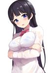  absurdres arms_under_breasts bangs black_hair blue_bra blue_eyes blush bow bowtie bra bra_through_clothes braid breast_hold breasts collared_shirt dress_shirt eyebrows_visible_through_hair highres ichijou_(kr_neru0) large_breasts long_hair long_sleeves looking_at_viewer nijisanji parted_lips pink_neckwear shirt simple_background solo tsukino_mito underwear upper_body very_long_hair virtual_youtuber wet wet_clothes wet_hair wet_shirt white_background white_shirt 