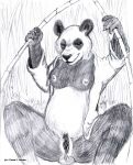 2009 bamboo bear bottomless breasts clitoris clothed clothing dharken female looking_at_viewer mammal panda pussy sketch solo spread_legs spreading 