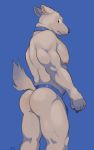  anatomy big_butt body_hair bulge butt canine chest_hair clothing collar dog exposed_back fur fuzzy_butt glitter_trap_boy mammal muscle_legs muscular nameless_character nipples pinup pose simple_background thong underwear white_fur 