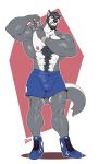  anthro beard boosterpang bulge canine clothed clothing facial_hair flexing footwear looking_at_viewer male mammal muscular muscular_male pecs shoes solo standing topless 