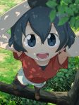  :d armpits arms_up black_gloves black_hair blue_eyes blue_hair commentary commentary_request day eyebrows_visible_through_hair from_above gloves grass hair_between_eyes highres in_tree kaban_(kemono_friends) kemono_friends leaf looking_at_viewer open_mouth outdoors pantyhose pantyhose_under_shorts partial_commentary red_shirt sat-c shirt short_hair shorts smile solo standing tree 