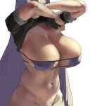  arms_up bangs bikini black_shirt breasts cleavage commentary covered_nipples curvy english_commentary eu03 eyepatch_bikini fate/grand_order fate_(series) hips huge_breasts long_hair minamoto_no_raikou_(fate/grand_order) minamoto_no_raikou_(swimsuit_lancer)_(fate) navel no_panties parted_bangs purple_bikini purple_hair shirt shirt_lift sideboob swimsuit undressing very_long_hair 