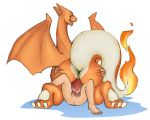  bestiality charizard dragon erection female female_on_feral feral human human_on_feral interspecies male male/female mammal nintendo penetration penis pok&eacute;mon pok&eacute;mon_(species) pok&eacute;philia redponei sex size_difference video_games 