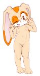  alternate_version_at_source anthro cream_the_rabbit cub eyelashes female flat_chested jetfrozen lagomorph looking_at_viewer mammal navel nipples nude one_eye_closed open_mouth orange_eyes pussy rabbit simple_background smile solo sonic_(series) standing v_sign young 