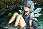  bad_id bad_pixiv_id blue_eyes blue_hair cirno face lolicept nature short_hair sitting solo submerged sweatdrop touhou water wet wet_clothes wings 