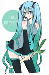  aqua_eyes aqua_hair bad_id bad_pixiv_id blush detached_sleeves hatsune_miku headset long_hair skirt smile solo spring_onion thighhighs twintails very_long_hair vocaloid yuiko zettai_ryouiki 