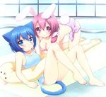 :&lt; all_fours animal_ears barefoot blue_eyes blue_hair breasts bunny_ears bunny_tail casual_one-piece_swimsuit cat_ears cat_tail cleavage feet hanging_breasts indoors innertube large_breasts long_hair lying multiple_girls one-piece_swimsuit onka original pool poolside red_eyes red_hair sakura_(usashiro_mani) short_hair swimsuit tail usashiro_mani 