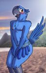  2016 absurd_res anthro avian beach beak bird blu_(rio) blue_feathers blue_macaw blush brown_eyes butt chest_tuft clothed clothing detailed_background drako1997 edit elbow_tufts embarrassed erection feathers front_view gem girly hi_res looking_back looking_up macaw male navel nipples open_mouth outside parrot sand seaside skimpy sky solo standing tail_feathers tuft 