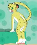  anus backsack balls butt cheetah feline green_eyes heart_marking knox_(artist) male mammal perineum presenting presenting_hindquarters salmy solo whiskers 