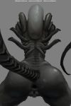  2018 alien alien_(franchise) anus big_butt butt female gaping gaping_anus nihilophant not_furry presenting presenting_hindquarters pussy raised_tail simple_background solo xenomorph 