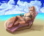  anthro beach big_breasts bikini book breasts canine clothed clothing eyewear female glasses huge_breasts hyper hyper_breasts mammal nipple_bulge sanny seaside solo sunbathing swimsuit wide_hips 