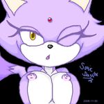  blaze_the_cat sonic_team sonicdash tagme 