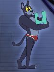  anthro briefs bulge clothing feline love_freak male mammal solo standing underwear 