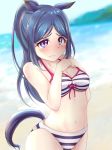  animal_ears beach bikini blue_eyes blurry blurry_background blush breasts cleavage clenched_hands closed_mouth commentary_request day embarrassed eyebrows_visible_through_hair halterneck hands_on_own_chest highres horse_ears horse_girl horse_tail ini kemonomimi_mode long_hair love_live! love_live!_sunshine!! matsuura_kanan navel ocean omoi_seiji ponytail purple_eyes sidelocks solo striped swimsuit tail tearing_up wavy_mouth 