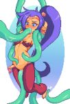  pixel_art purple_hair shantae_(character) tentacle vaginal wannabepixels 