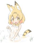  :3 :d animal_ears bangs bare_arms bare_shoulders blonde_hair blush breasts eyebrows_visible_through_hair fang hair_between_eyes highres kemono_friends makuran medium_breasts no_bra no_gloves open_mouth partially_submerged see-through serval_(kemono_friends) serval_ears serval_tail shirt sleeveless sleeveless_shirt smile solo striped_tail tail tail_raised water wet wet_clothes wet_shirt white_background white_shirt yellow_eyes 