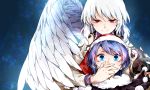  bangs blue_eyes blue_hair closed_mouth commentary_request covering_mouth doremy_sweet eyebrows_visible_through_hair feathered_wings hat kikuichi_monji kishin_sagume long_sleeves multiple_girls nightcap pom_pom_(clothes) red_eyes single_wing touhou white_hair white_wings wings 