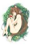  animal_ears apple bitten_apple brown_hair commentary_request curled_up flower food fruit grass highres holding holding_food holding_fruit holo leaf long_hair looking_at_viewer lying nude on_side plant red_eyes seu_kaname spice_and_wolf tail very_long_hair wolf_ears wolf_girl wolf_tail 