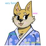  blush canine clothing digital_media_(artwork) dog doge english_text female fur mammal meme shiba_inu sushirolldragon text tongue 