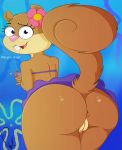  absurd_res anthro anus beverage big_butt brown_fur buckteeth butt clothing cup female flower fur hair hi_res looking_at_viewer looking_back low-angle_view mammal nickelodeon no_underwear open_mouth phylloaurea plant pussy rodent sandy_cheeks skirt solo spongebob_squarepants squirrel tea teeth tongue upskirt 