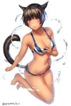  animal_ears aruma_jiki bikini black_hair breasts cat_ears cat_tail cleavage eyebrows_visible_through_hair facial_mark final_fantasy final_fantasy_xiv looking_at_viewer medium_breasts miqo'te open_mouth purple_eyes short_hair signature solo striped striped_bikini swimsuit tail water wet 