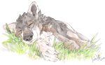  2018 anthro blue_eyes canine digital_media_(artwork) indiwolf male mammal rakan scar were werewolf wolf 