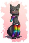  4_toes arm_warmers armwear black_fur blue_eyes blush canine clothing cub dakka dakkawolf fangs fur legwear male mammal navel panties rainbow stockings super_gay toes underwear wolf young 