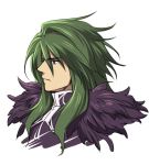  1boy commentary_request green_eyes green_hair ildon kanikame long_hair male_focus saga saga_frontier solo white_background 